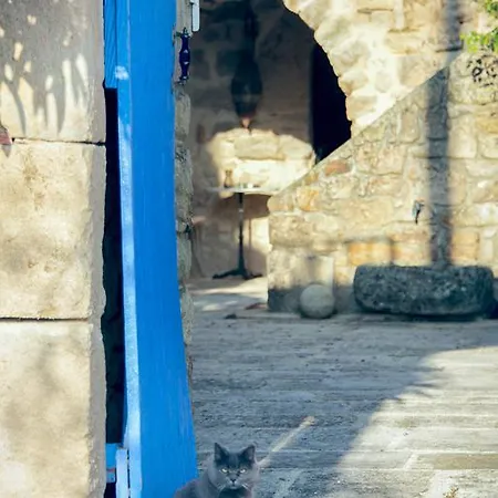 Maison d'hôtes D'hôtes Et Bleu&spa *